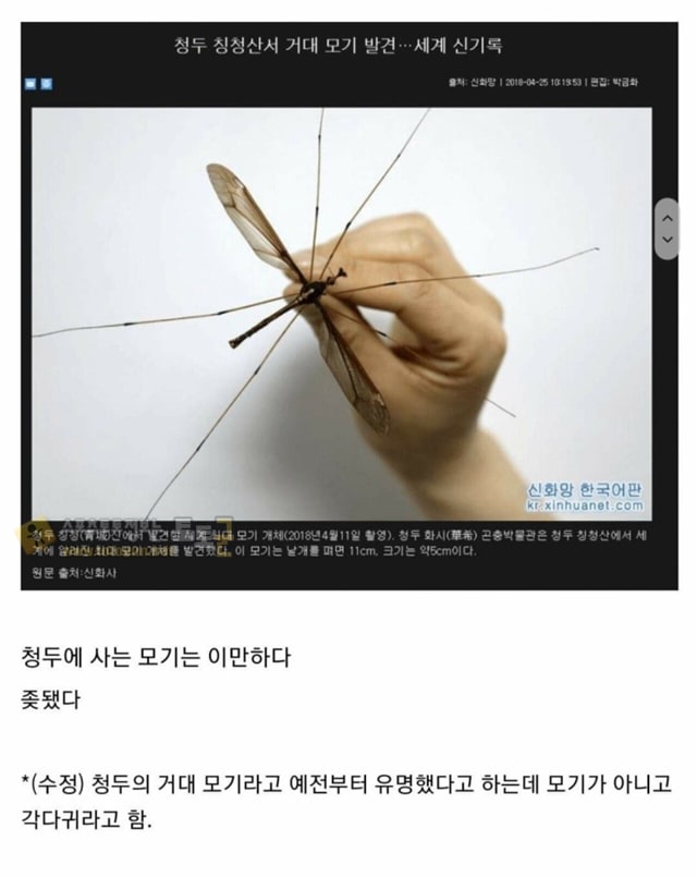 먹튀검증 토토군 유머 중국 친환경 아파트 근황