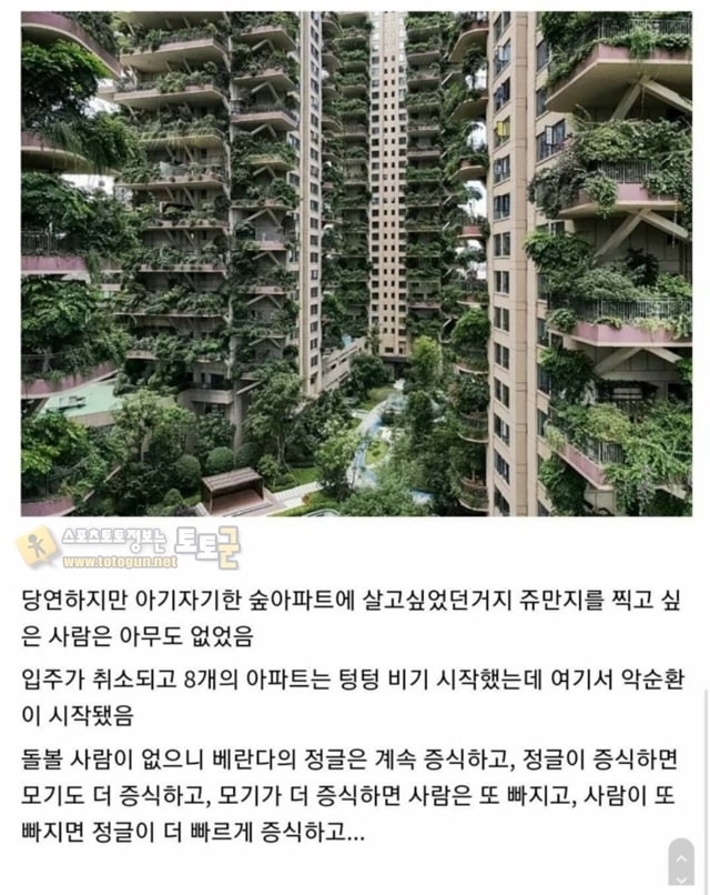 먹튀검증 토토군 유머 중국 친환경 아파트 근황