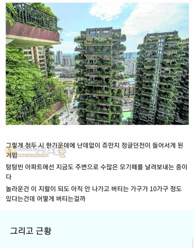 먹튀검증 토토군 유머 중국 친환경 아파트 근황