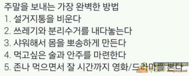 주소야 유머 주말을 보내는 가장 완벽한 방법