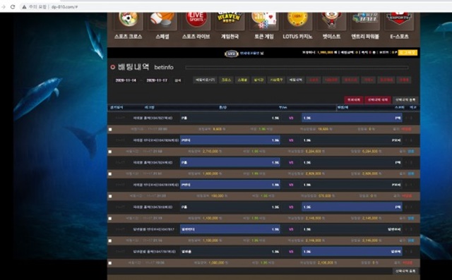 돌고래 먹튀 먹튀사이트 확정 먹튀검증 토토군 완료
