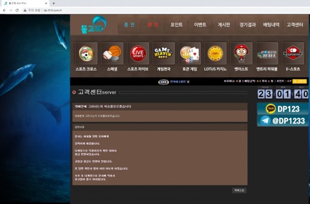 돌고래 먹튀 먹튀사이트 확정 먹튀검증 토토군 완료