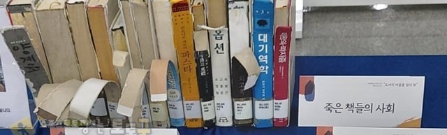 먹튀검증 토토군 유머 모 대학교 도서관 근황