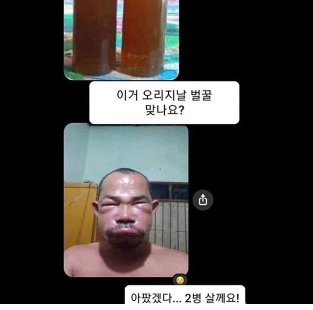 주소야 유머 정직한 벌꿀 판매자