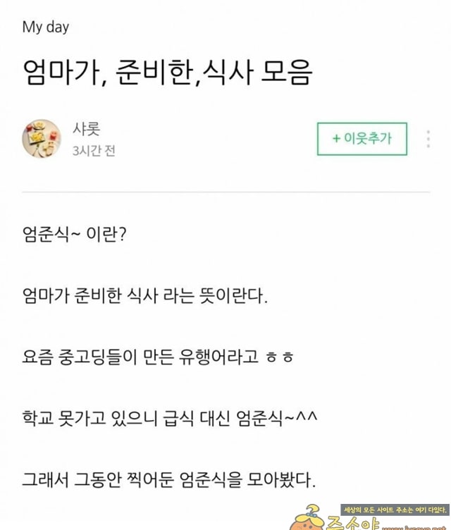 주소야 유머 인터넷 유행어 대참사