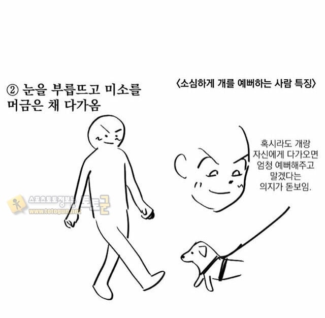 먹튀검증 토토군 유머 개를 소심하게 좋아하는 사람들 특징