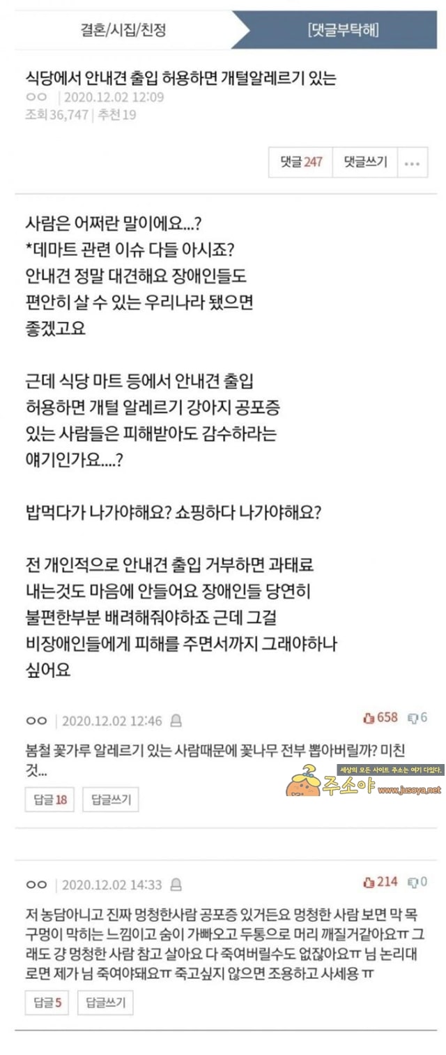 주소야 유머 식당에서 안내견 출입 허용하면 개털알레르기 있는 사람은 어쩌라고