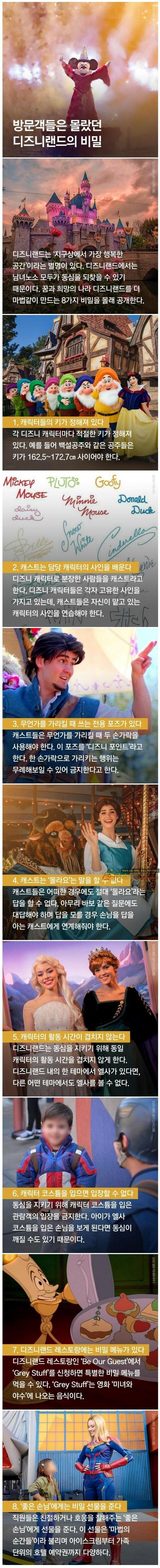 주소야 유머 디즈니랜드의 숨겨진 비밀