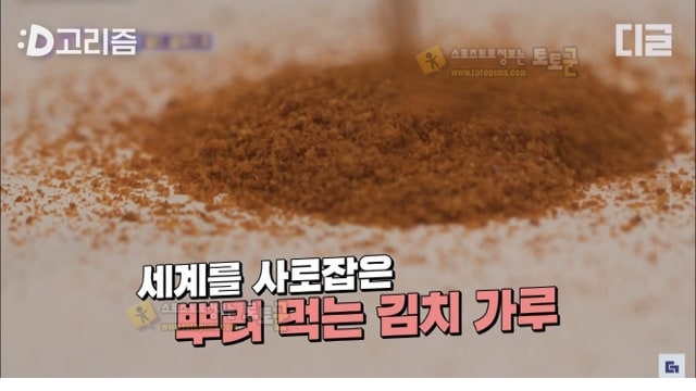 먹튀검증 토토군 유머 유퀴즈에 나온 아마존 완판 김치가루