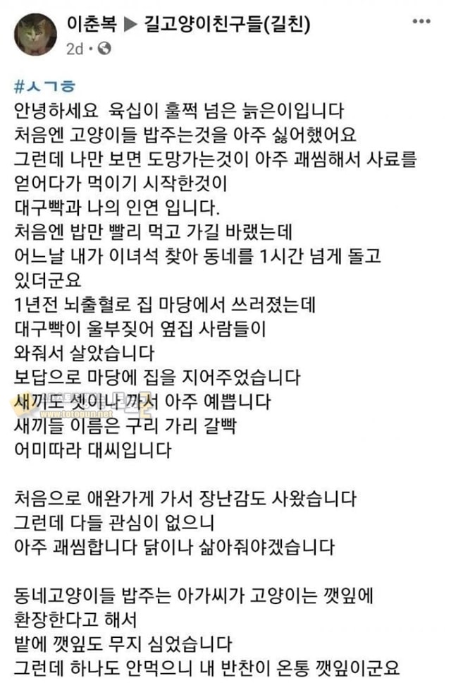 먹튀검증 토토군 유머 츤데레 feat)길냥이 할배