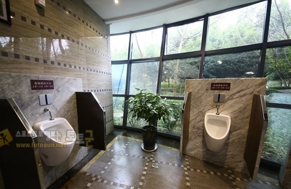 먹튀검증 토토군 유머 2021년 중국 화장실