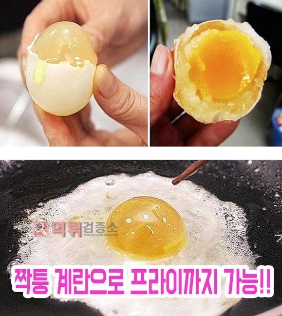 먹튀검증소 유머 중국의 가짜 계란