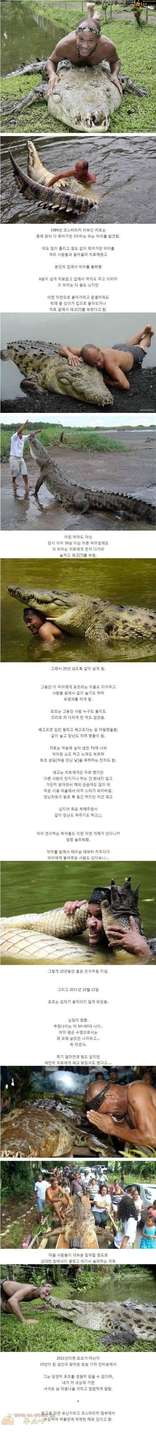 주소야 유머 악어의 감사마음