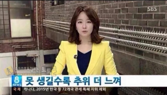 먹튀검증 토토군 유머 오늘 춥다고 느끼는 사람들 특징