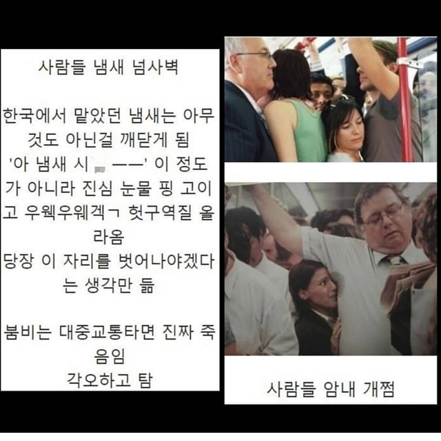 주소야 유머 외국 생활 하면서 느끼는 문화 충격 최고는