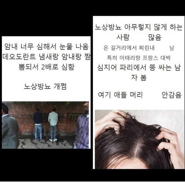 주소야 유머 외국 생활 하면서 느끼는 문화 충격 최고는