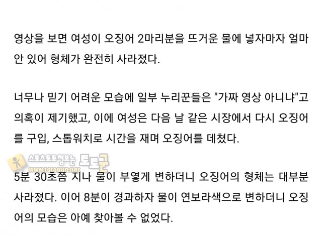 먹튀검증 토토군 유머 중국의 신기한 오징어