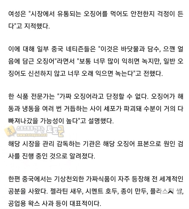 먹튀검증 토토군 유머 중국의 신기한 오징어