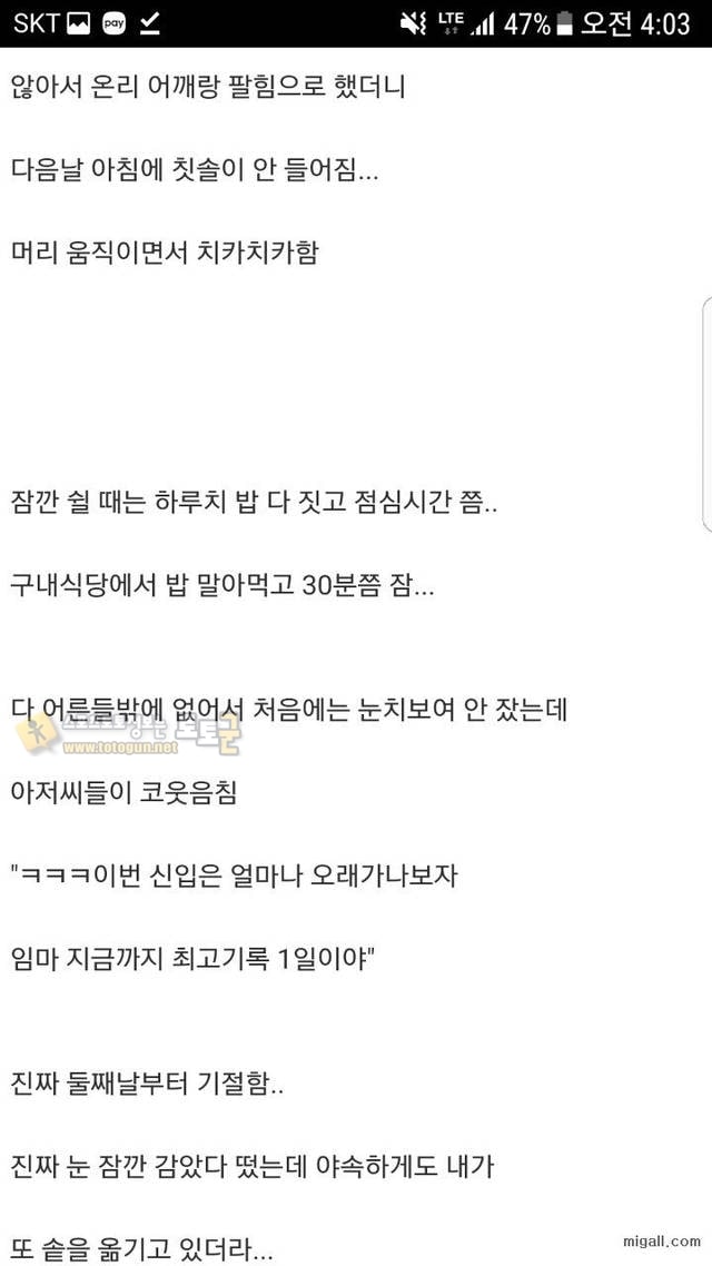 먹튀검증 토토군 유머 삼각김밥 공장에서 일한 후기