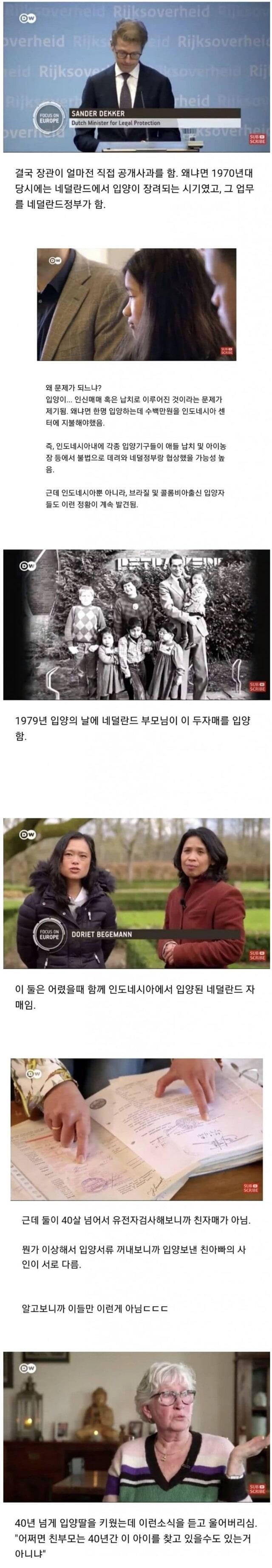 네덜란드 장관이 공개 사과한 이유