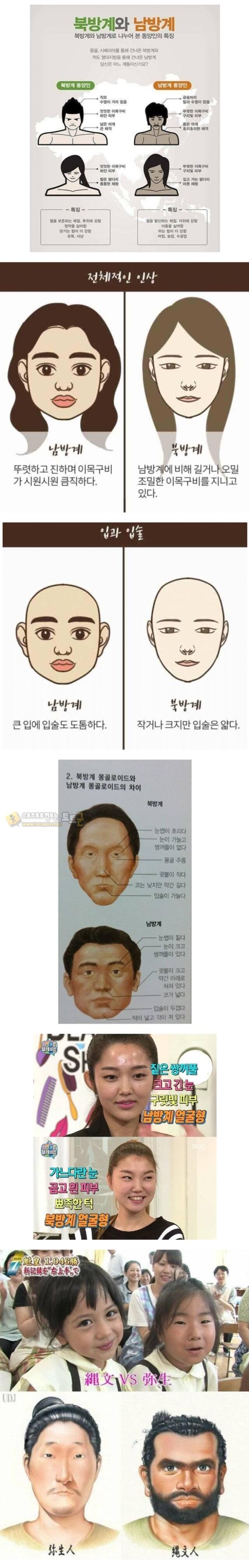 먹튀검증 토토군 유머 북방계vs남방계 얼굴특징