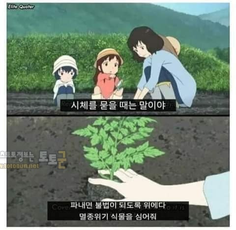 먹튀검증 토토군 유머 특이한 페르시아 표현