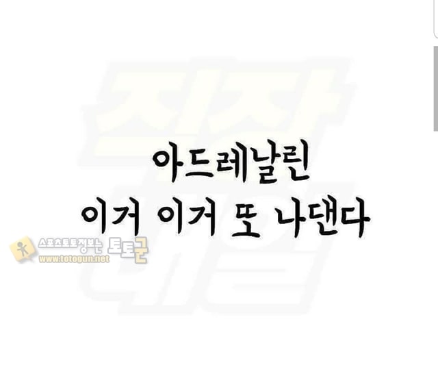 먹튀검증 토토군 유머 화날 때 욕 대신 쓰기 좋은 말