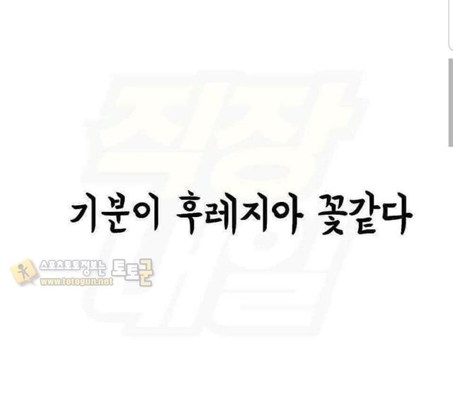 먹튀검증 토토군 유머 화날 때 욕 대신 쓰기 좋은 말