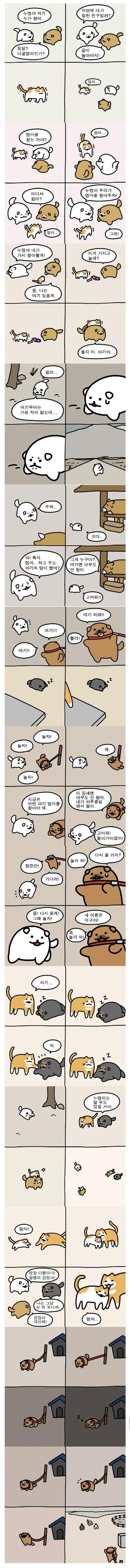 엄마 고양이 찾아주는 멍멍이