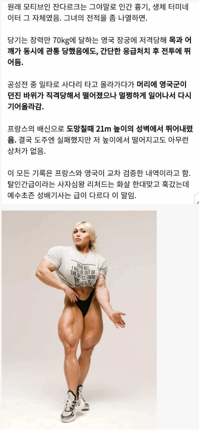 잔다르크 추정 외모