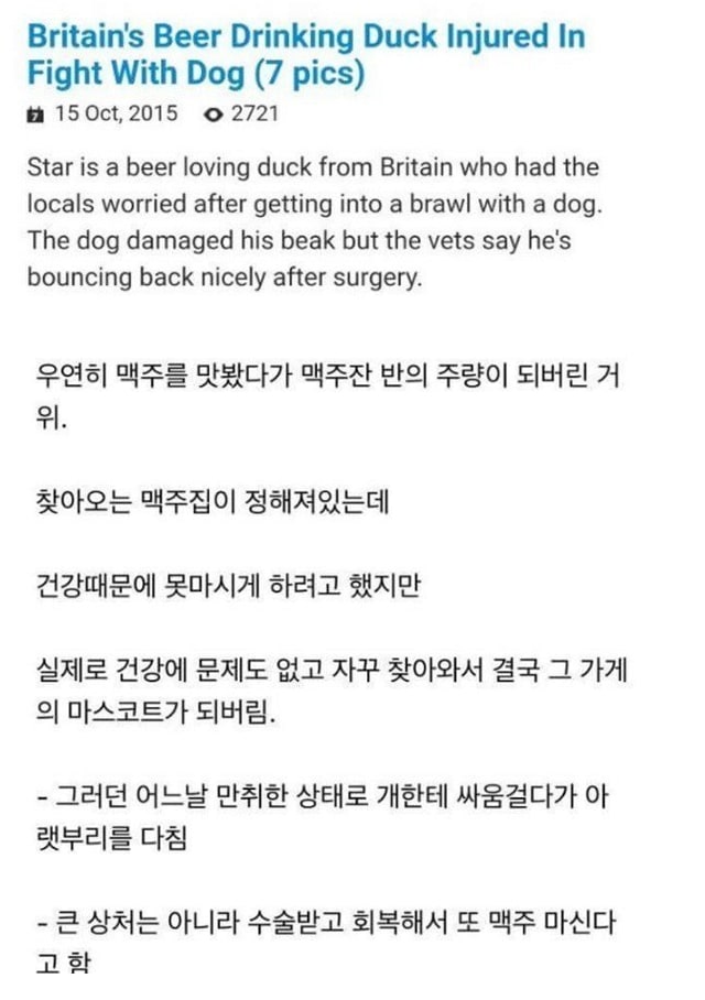 한번쯤 볼만한 동물 움짤들