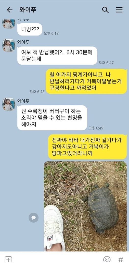 한번쯤 볼만한 동물 움짤들