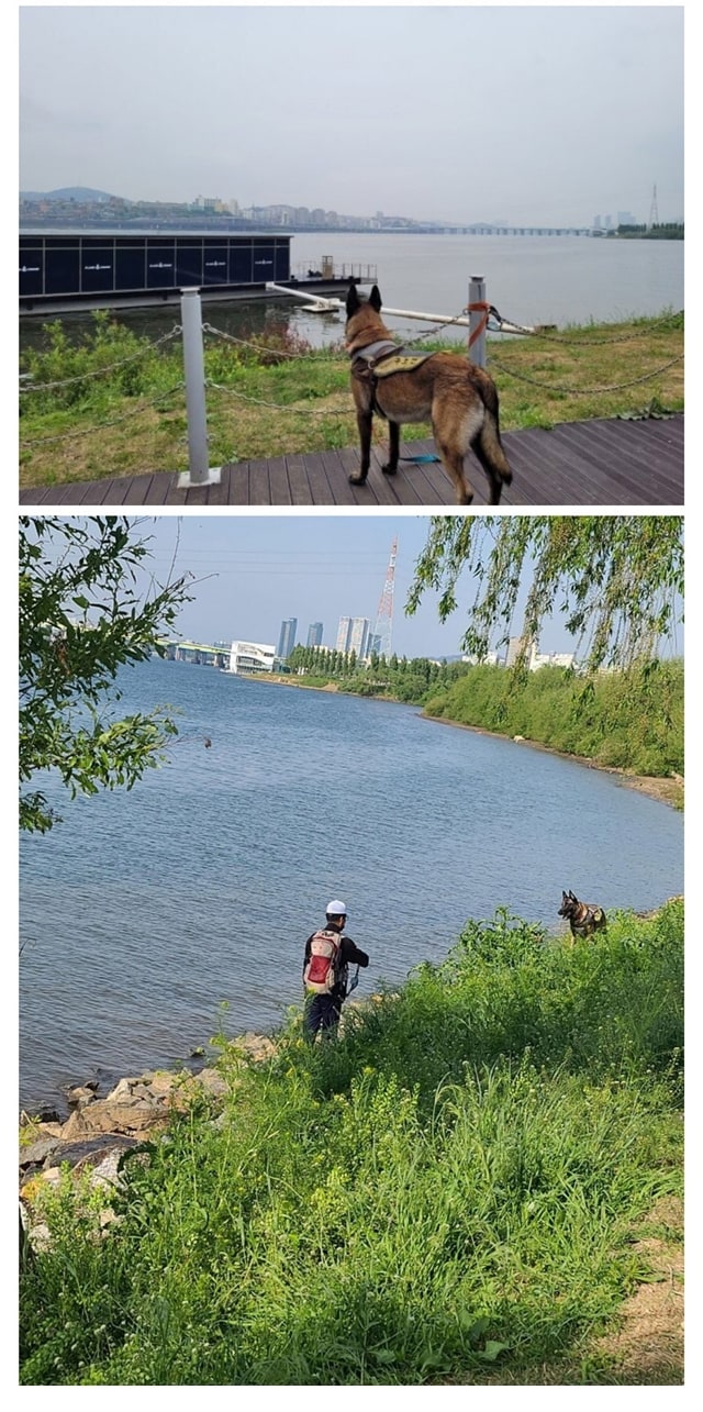 한강실종사건 민간구조사의 활약