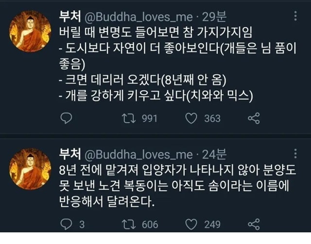 절에 버려진 개 이야기