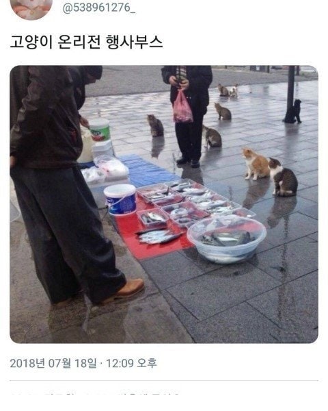 고양이 전용 동인판매전 행사부스