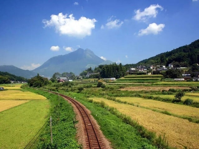 일본 시골 여름 풍경 사진