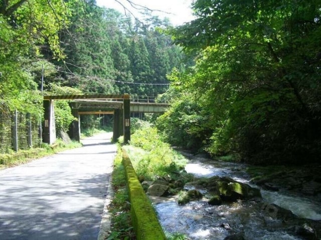 일본 시골 여름 풍경 사진