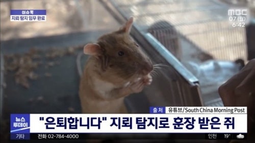 은퇴하는 고참