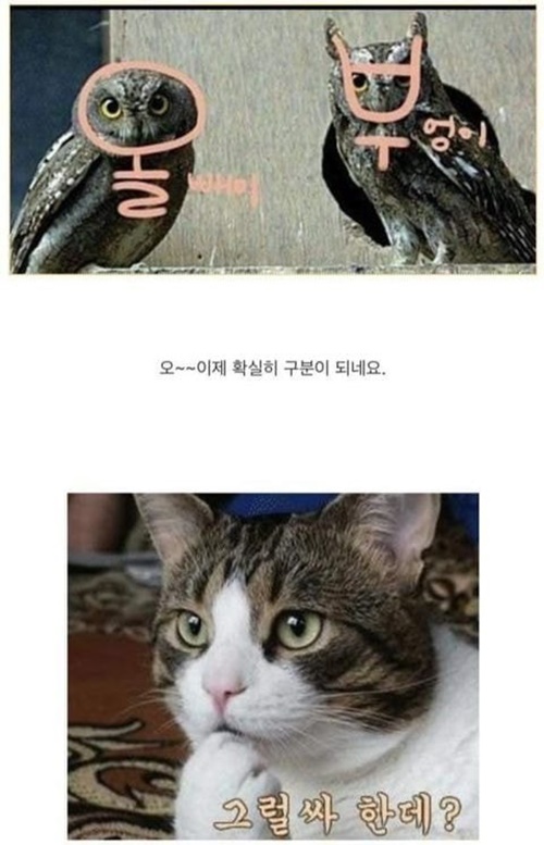 확실히 구별되네