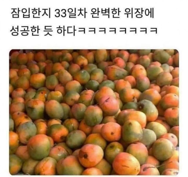 찾는데 2분 걸림