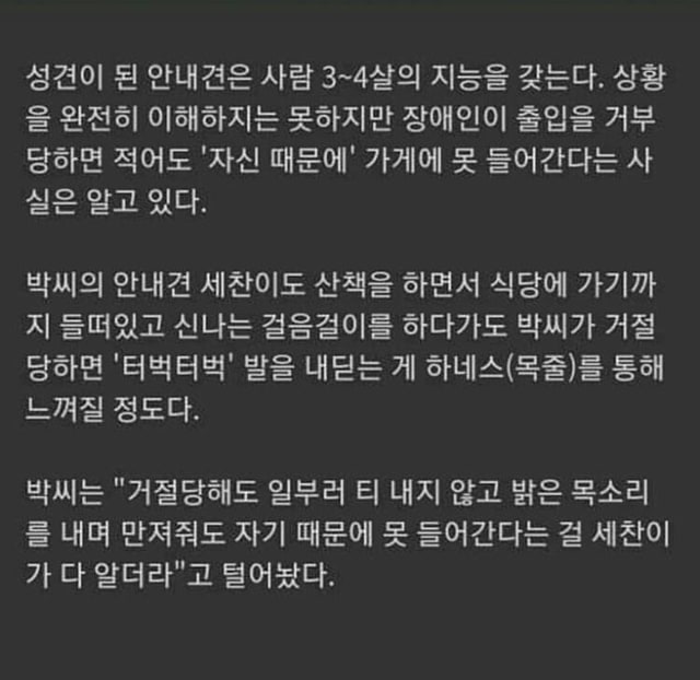 자기 탓인 줄 아는 안내견