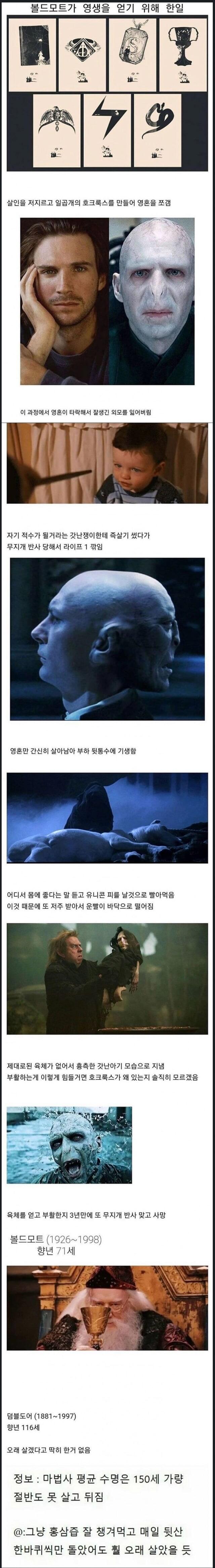 볼드모트가 영생을 살려고 벌인 짓