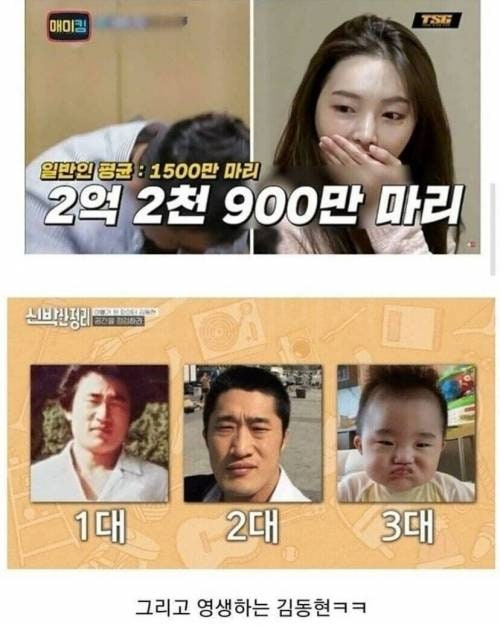 부부 한쪽의 유전자가 강력하면 일어나는 일