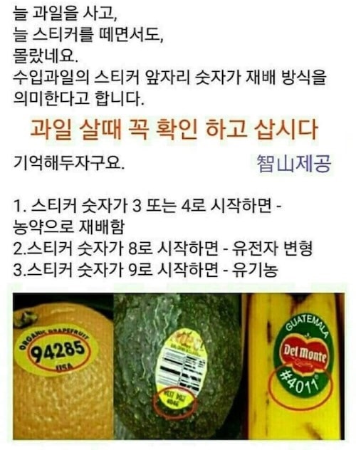 수입과일 먹을 때