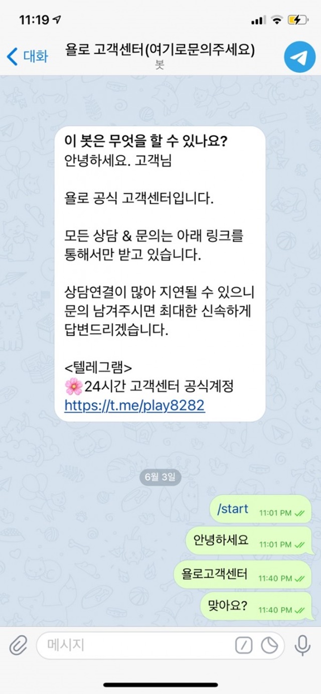 욜로 먹튀사이트