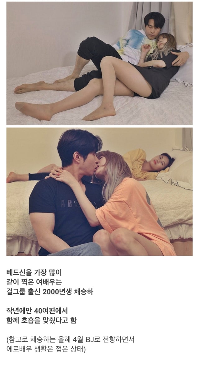 한국의 시미켄