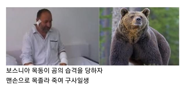 맨손으로 곰 이기는 방법