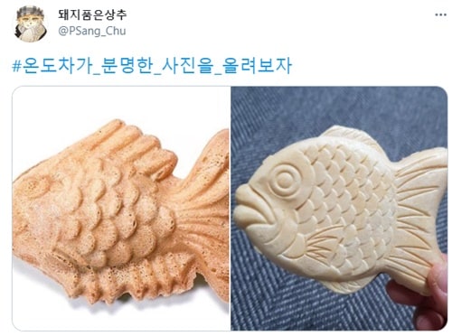 온도차 확실하네