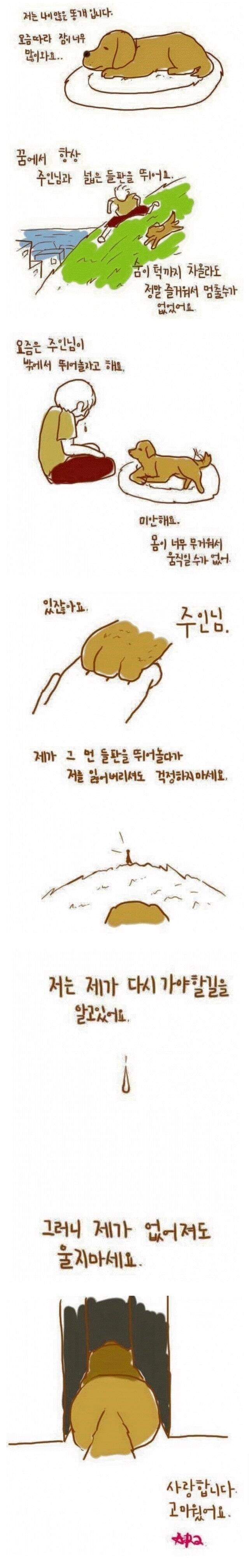 반려견의 마지막 모습