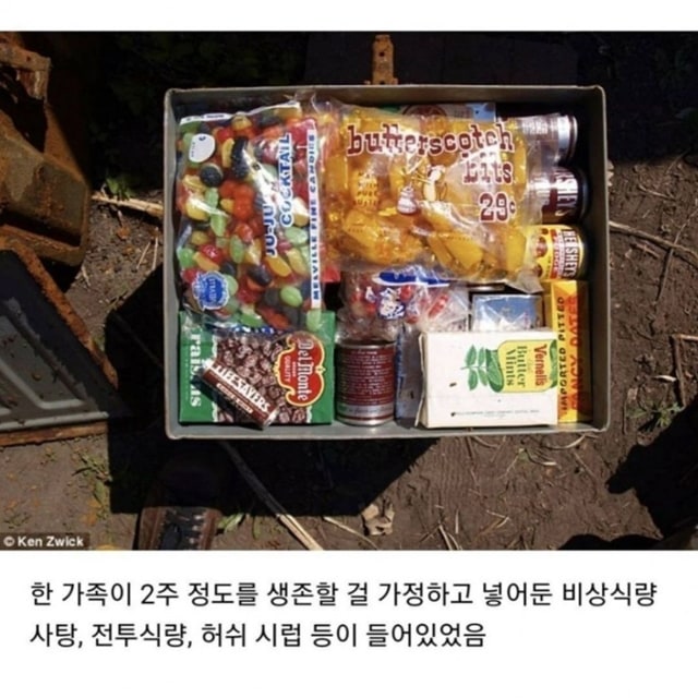 미국 가정집 뒷마당에서 발견된 벙커